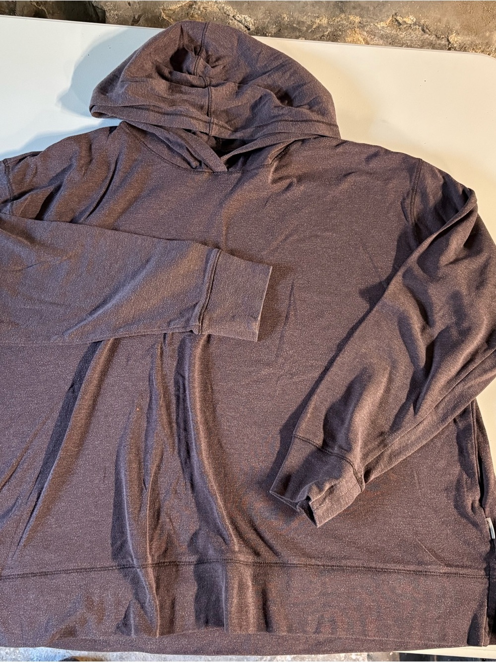 Eddie Bauer Men's Hooded Sweatshirt in Brown Heather